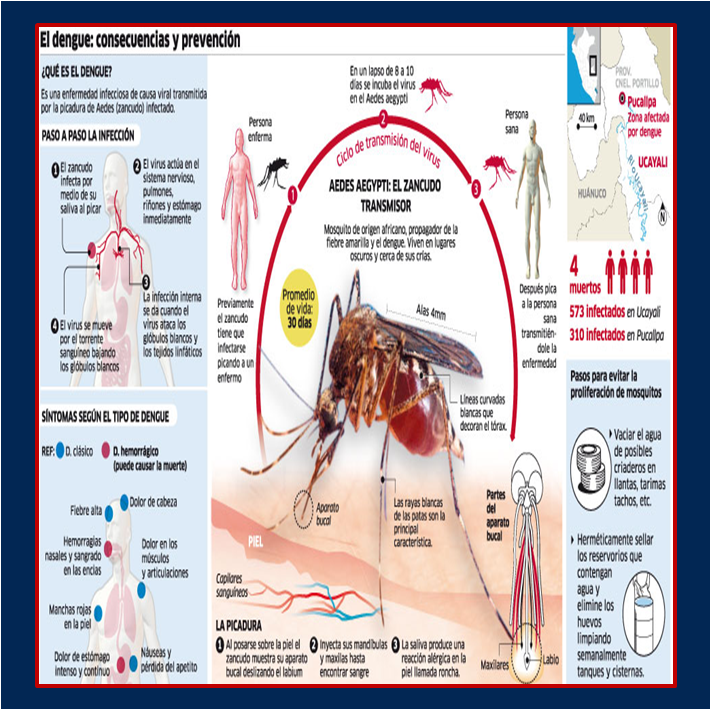 Dengue